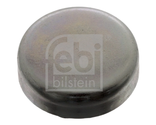 Frost Plug